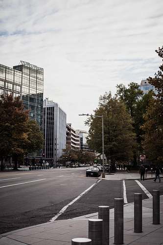 usa parked vehicles beside road dc